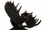Imperial Moose Head Wall D‚cor