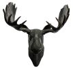 Imperial Moose Head Wall D‚cor